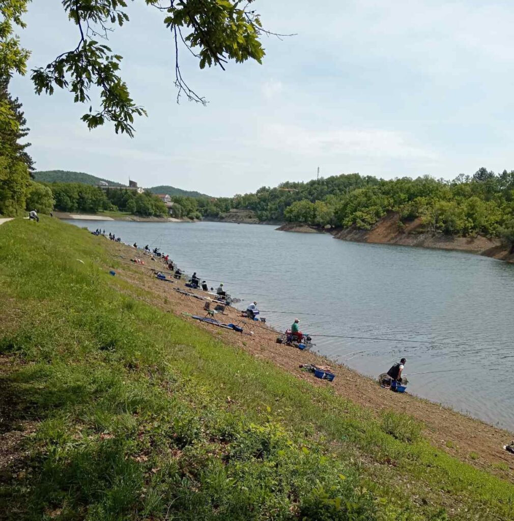 Borsko jezero