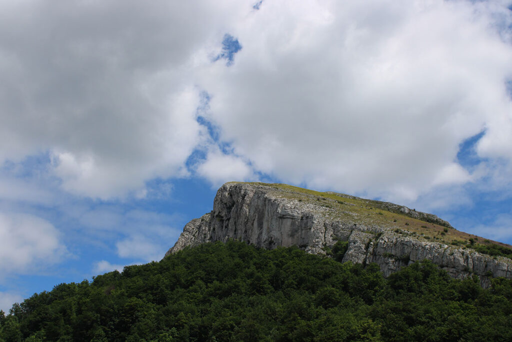 IMG_0487a.jpg
