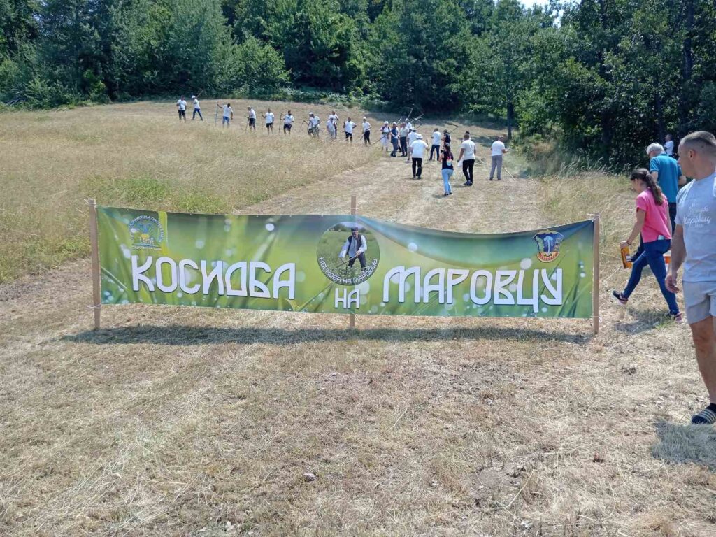 Kosidba na Marovcu