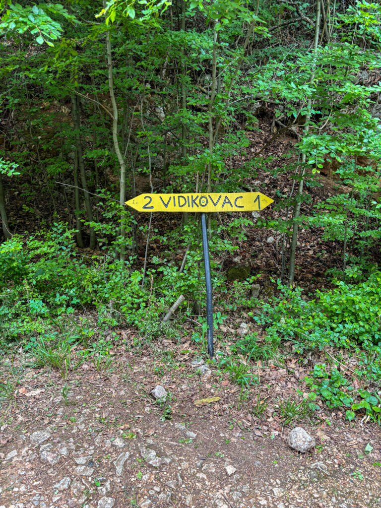 Pećina Vernjikica