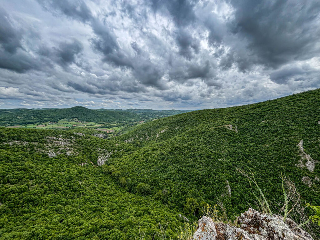 Pećina Vernjikica