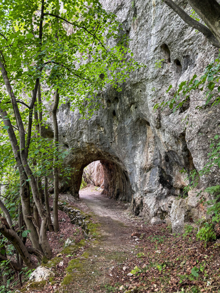 Pećina Vernjikica