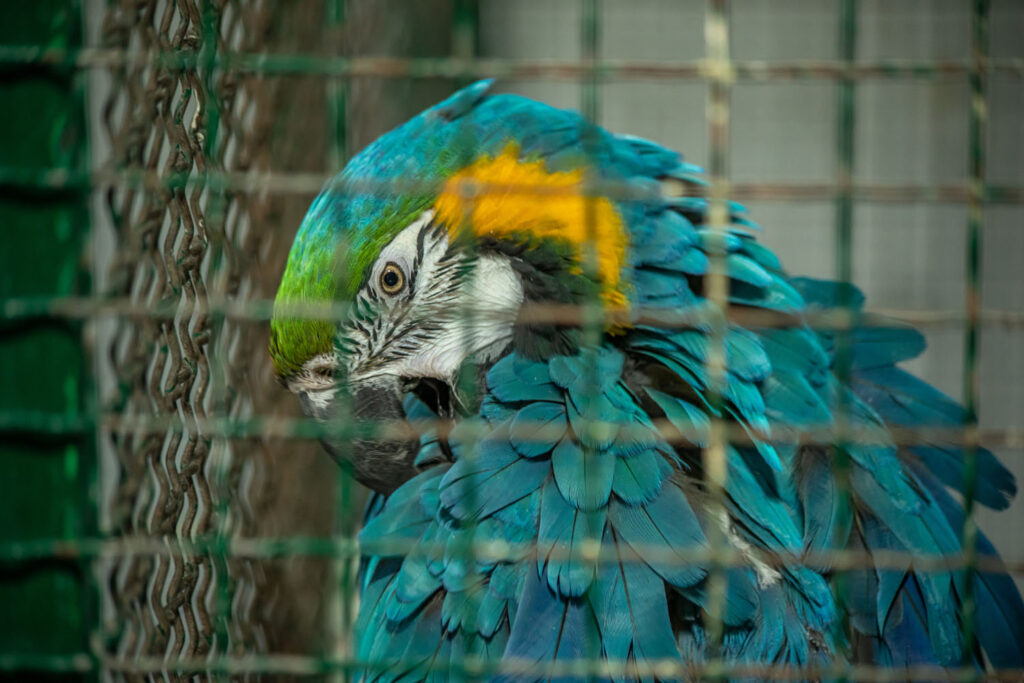 ZOO vrt Bor
